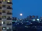 miの画像