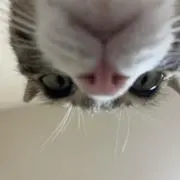 あっこの画像