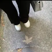 ちの画像