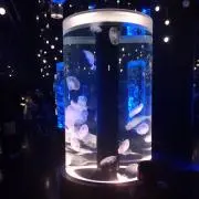 SEA☆3/21〜4/6発送不可の画像