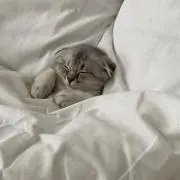 うるの画像