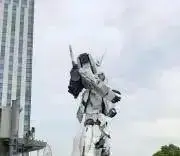 まりもの画像