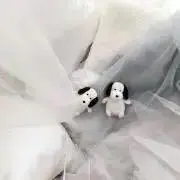 Ayunaの画像