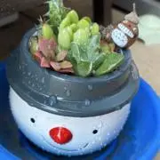 urishiroの画像