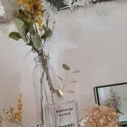 Minamiの画像