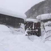 とく