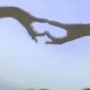 まる(プロフ☺︎‬)の画像