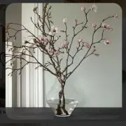 maruの画像