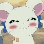 LaLaの画像