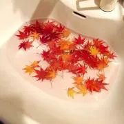 ほわーんの画像