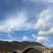 Yの画像
