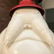 ゆの画像