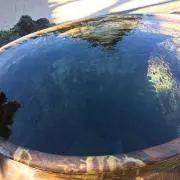 ケイ