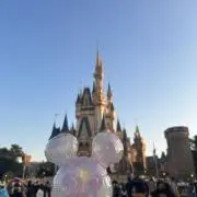 なのかの画像