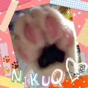 にくきゅうちゃん 6/27発送お休みの画像