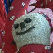 ニワトリタマゴの画像