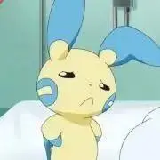 まい