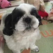 さちえの画像