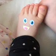アンズの画像