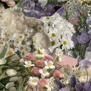 nanaの画像
