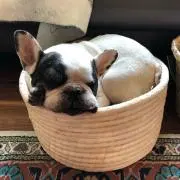 たまご母