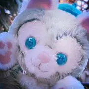 ぴよの画像