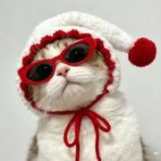 るんあいの画像