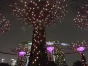 Aのヤードセールの画像