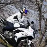 たにれ