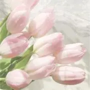 ぴょん/即購入◎プロフご確認くださいの画像