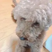 こっちゃん