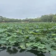 410の画像