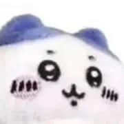 ハチワレの画像