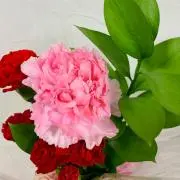 にゃおりん【プロフにお目通しを】