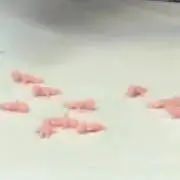 naの画像