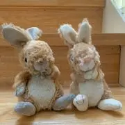 たぁの画像