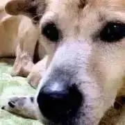 みちの画像