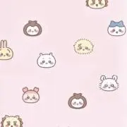 Yの画像