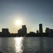 Taの画像