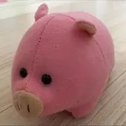 くーみん☆長袖セール中の画像