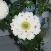 NＲの画像