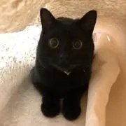 みかりんりん
