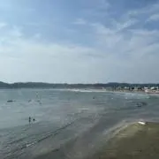 UMIの画像