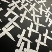 aneの画像