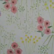 cinq-5の画像