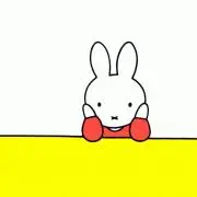 ころんの画像