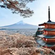 Y.Hの画像