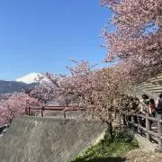 つんつんの画像