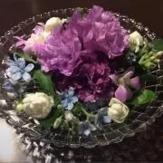 ╰(*´︶`*)╯♡スカーレット♡の画像