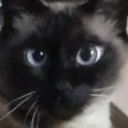 福